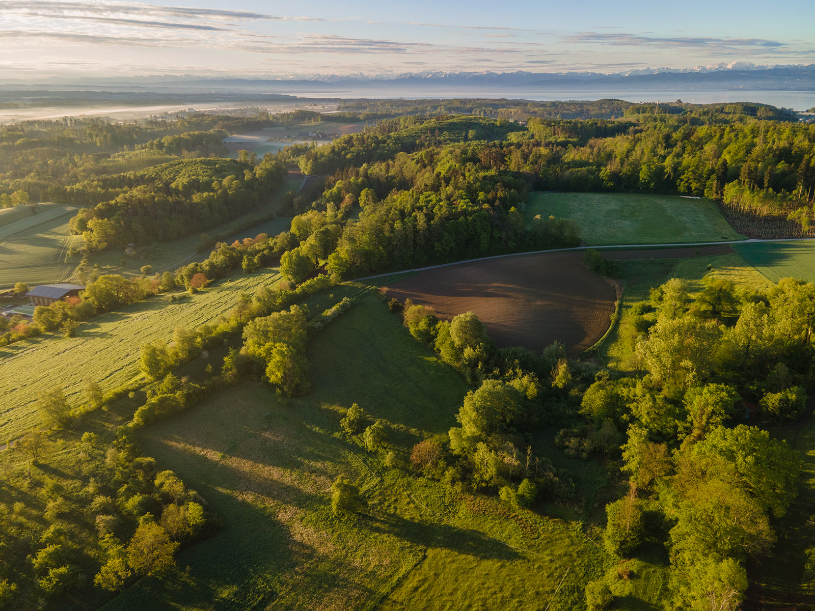 Luftbild Bodensee Stetten