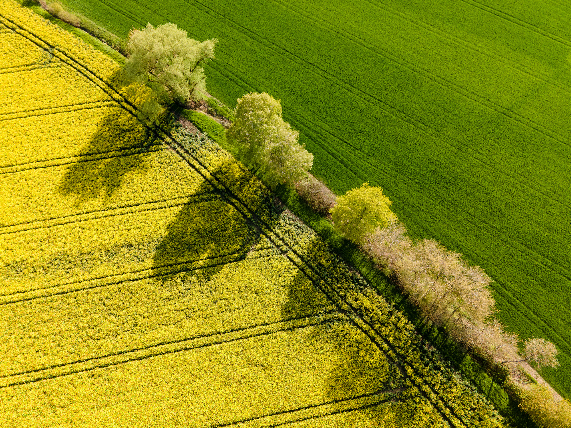 Luftbild Landwirtschaft Agrar