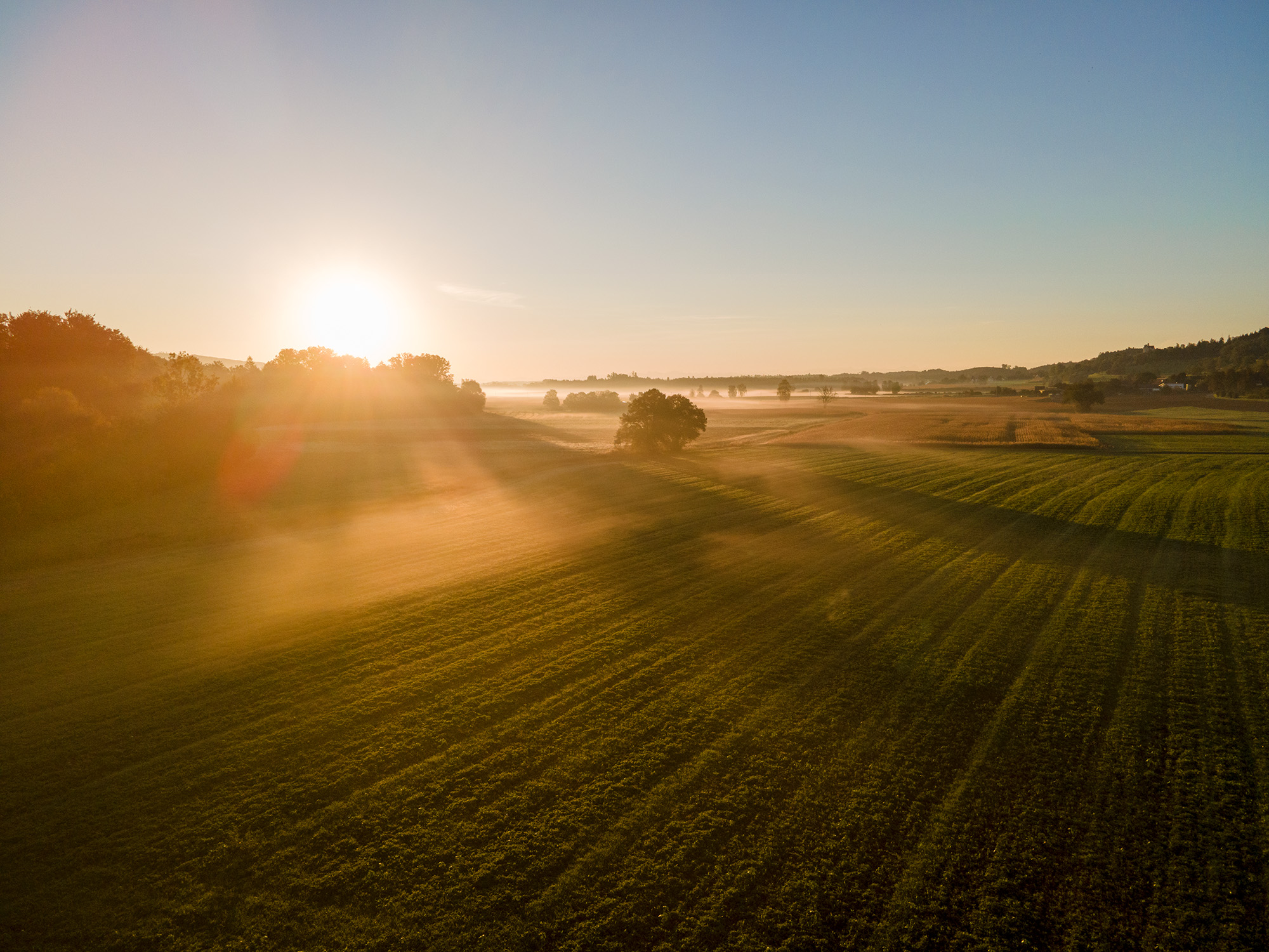 Luftbild Bodensee Sonnenaufgang