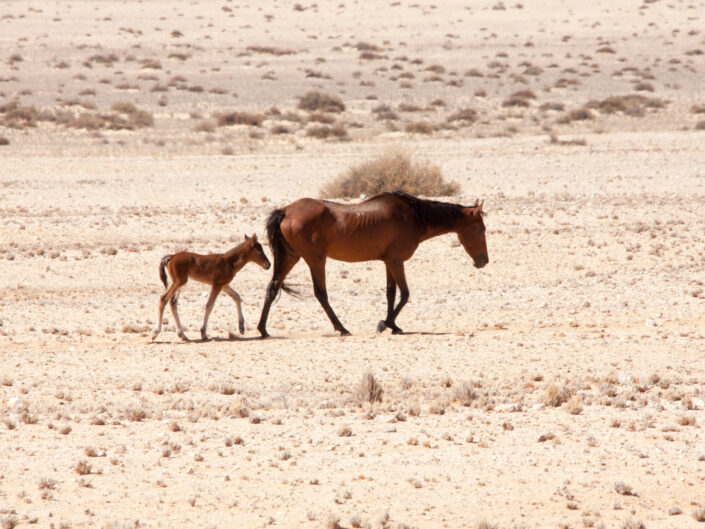 Namibia Reisefotografie 12