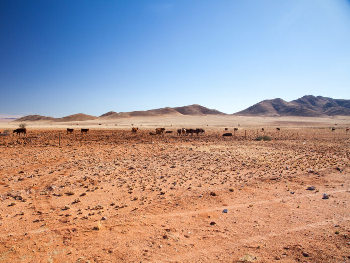 Namibia Reisefotografie 13