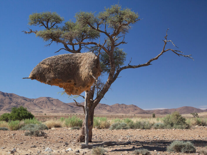Namibia Reisefotografie 48