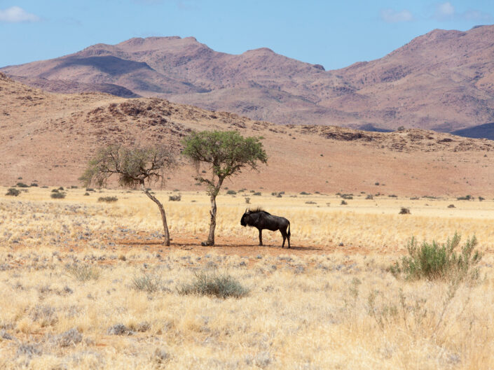 Namibia Reisefotografie 42