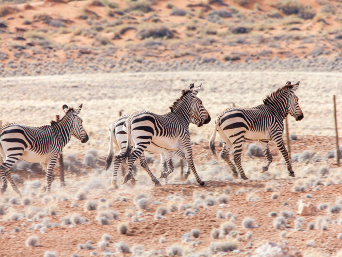 Namibia Reisefotografie 38