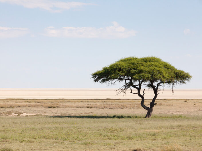 Namibia Reisefotografie 33