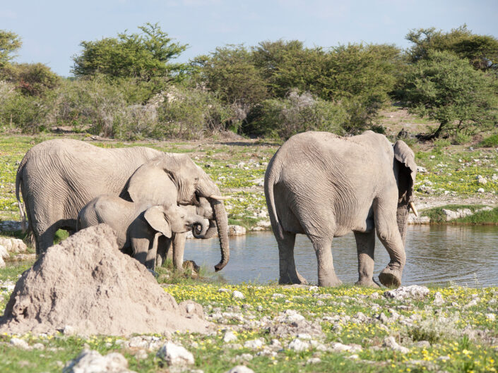 Namibia Reisefotografie 30