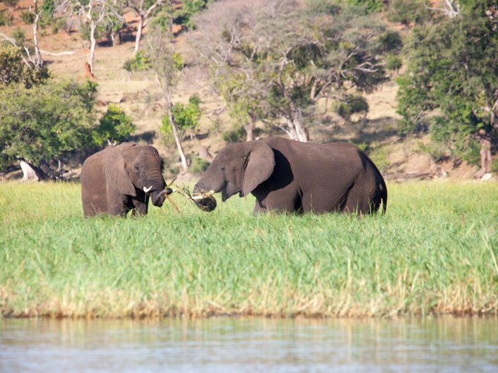 Namibia Reisefotografie 18