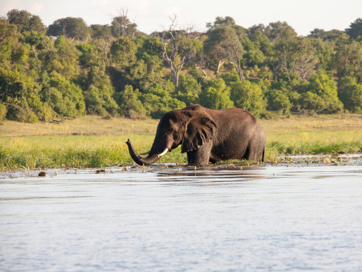 Namibia Reisefotografie 21