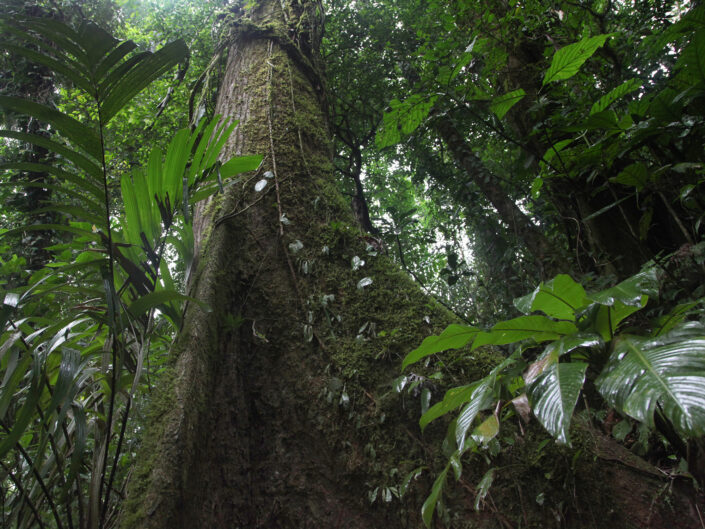 Costa Rica Reisefotografie 31