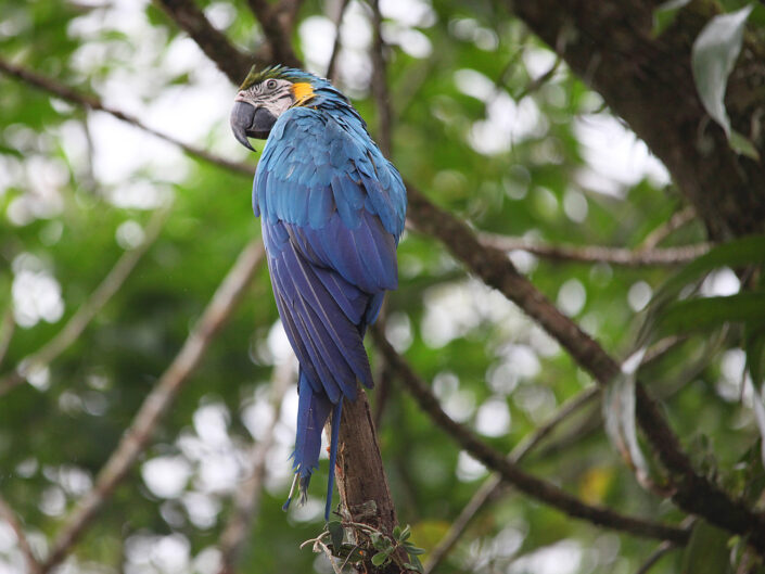 Costa Rica Reisefotografie 33